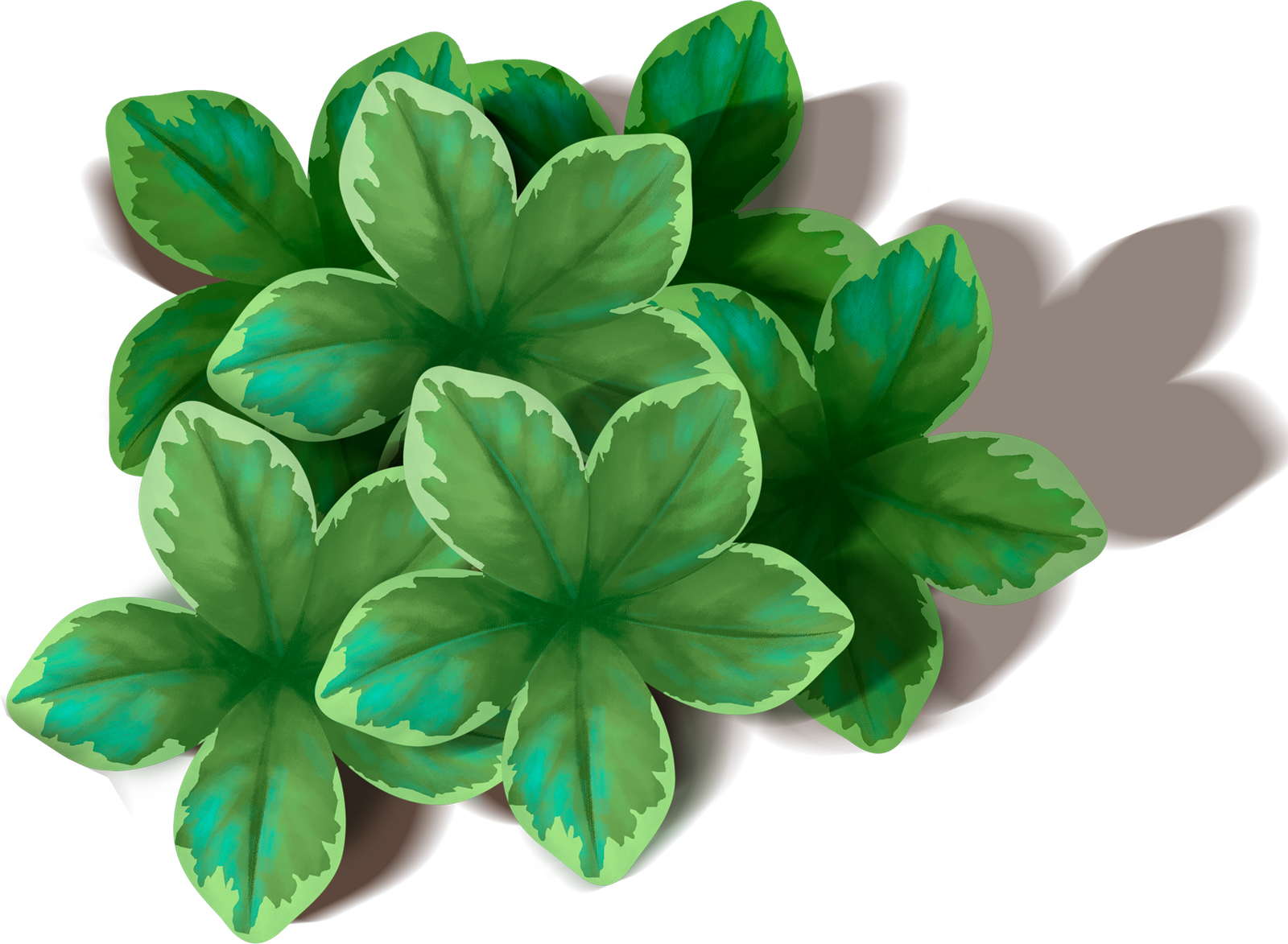 Green Leaves Organic Png HD Free Download