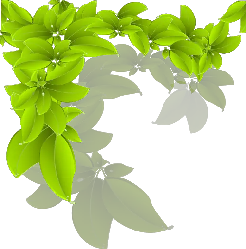 Green Leaves Organic Png HD Free Download