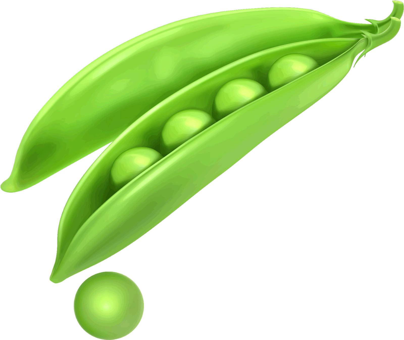 Green Organic Pea Png HD Free Download