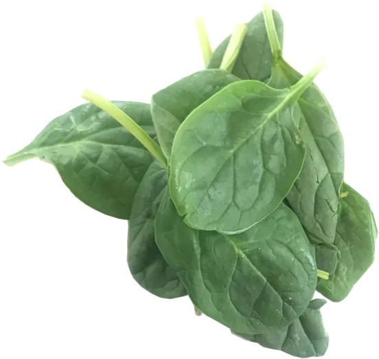 Green Organic Spinach Transparent Png HD Free Download