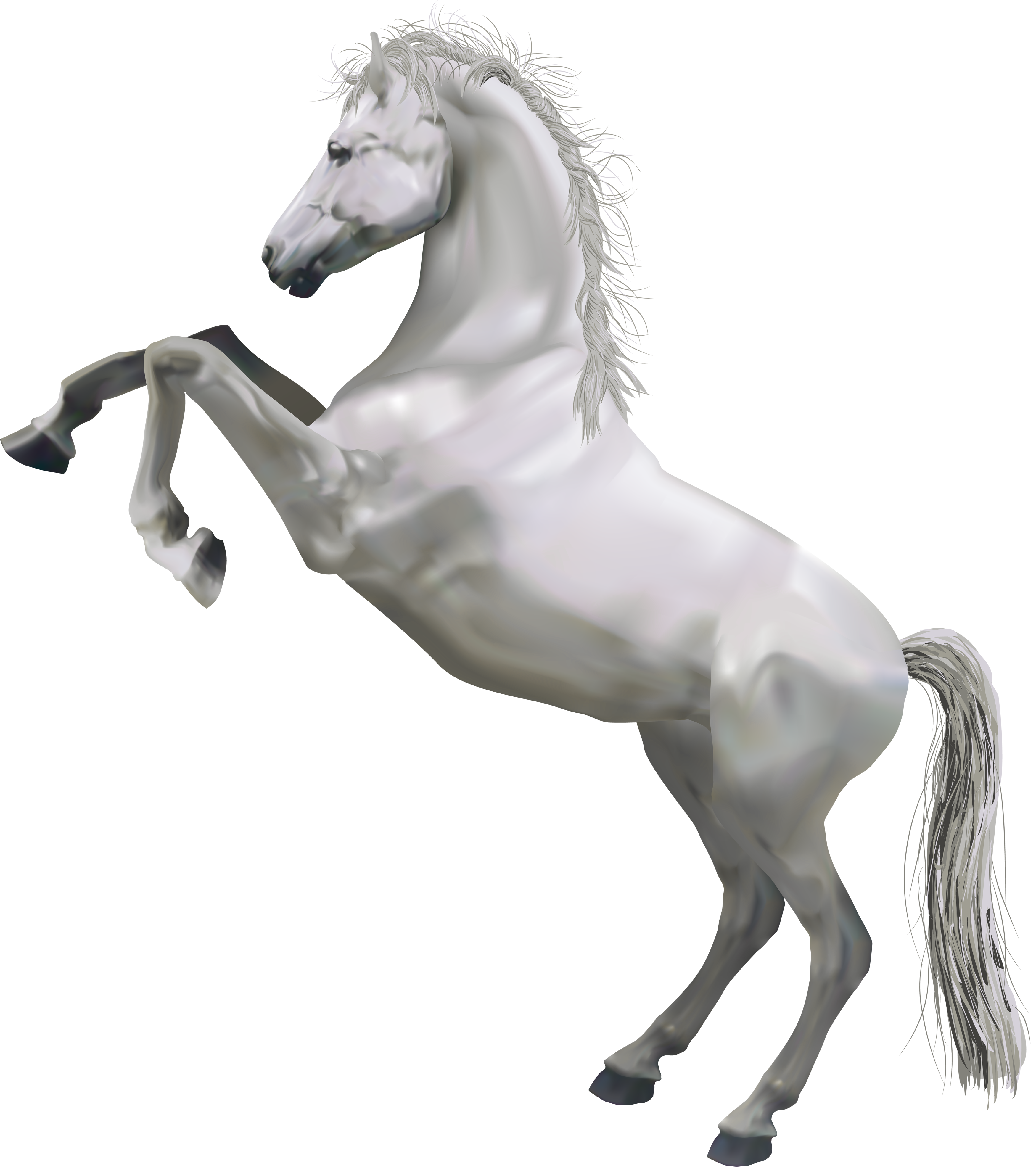 Photos Running Horse Morgan Png HD Free Download