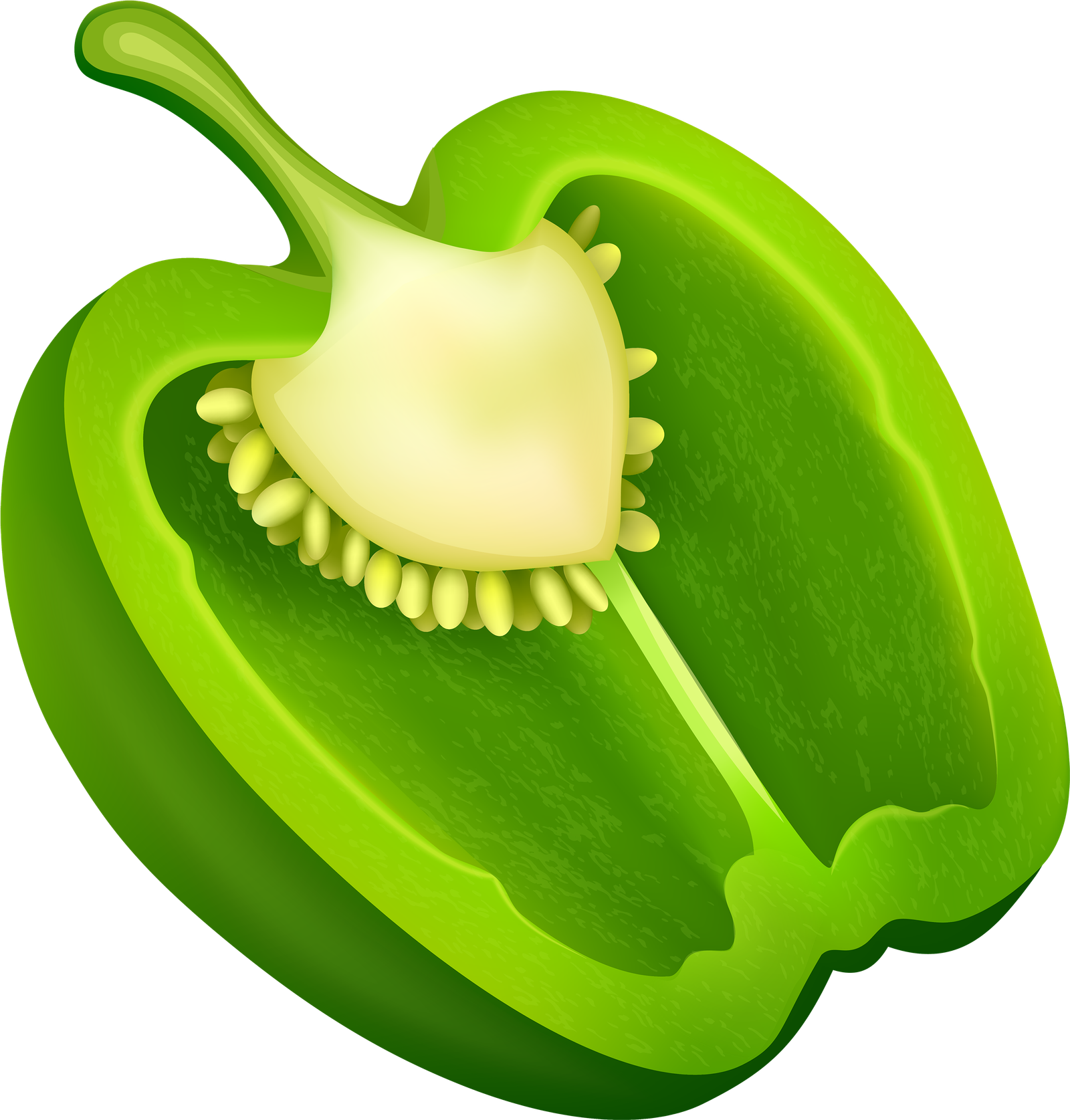 Photos Pepper Vector Green Bell Png HD Free Download