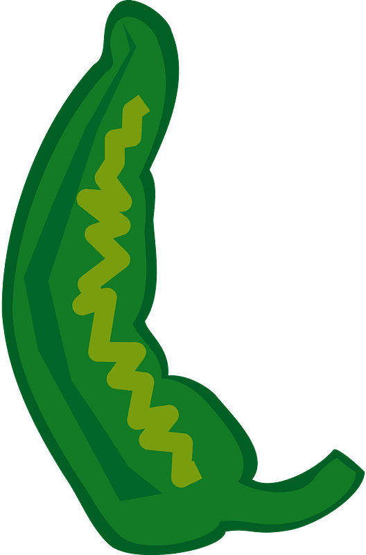 Chili Vector Green Pepper Png HD Free Download