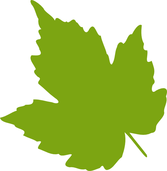 Vector Green Leafs Clipart Png HD Free Download