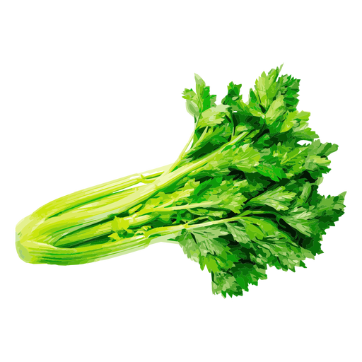 Celery Sticks Bunch Clipart Png HD Free Download