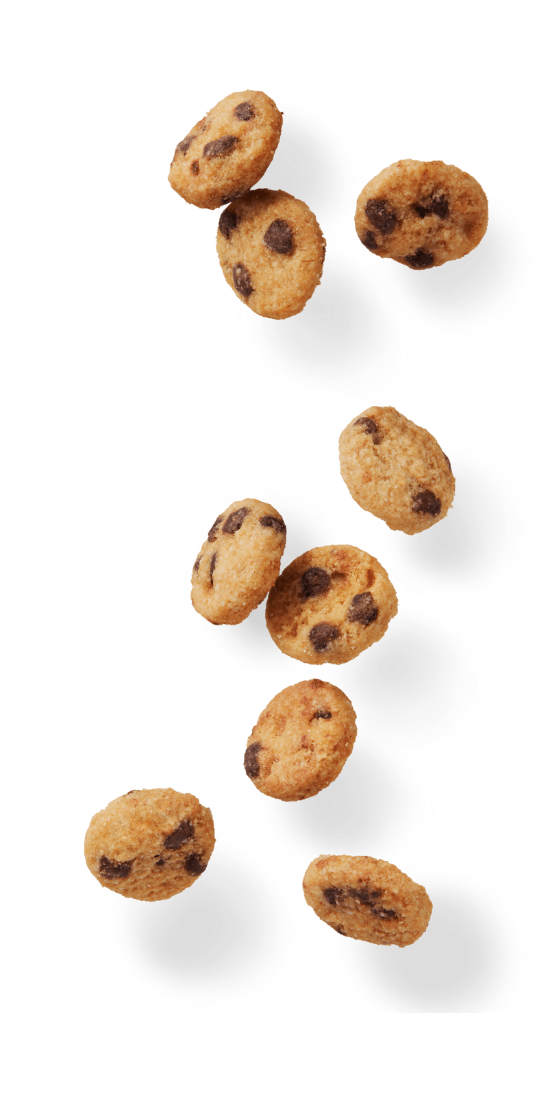 Cookie Chocolate File Png HD Free Download