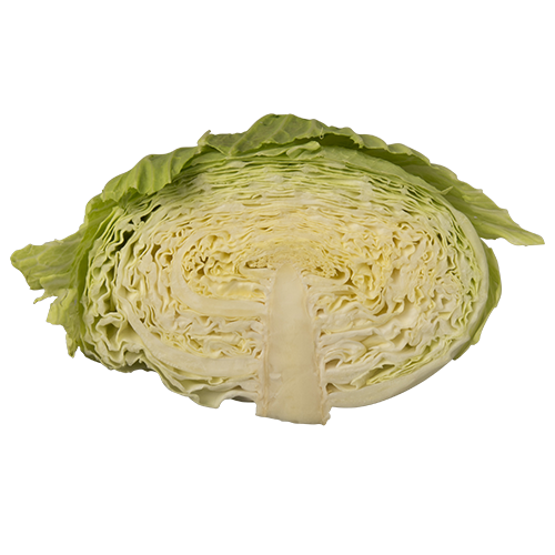 Fresh Cabbage Half Png HD Free Download