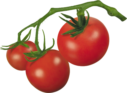 Fresh Tomatoes Bunch Clipart Png HD Free Download