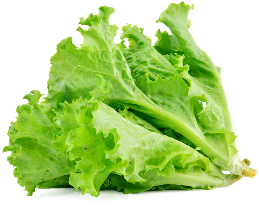 Celtuce Green Png HD Free Download