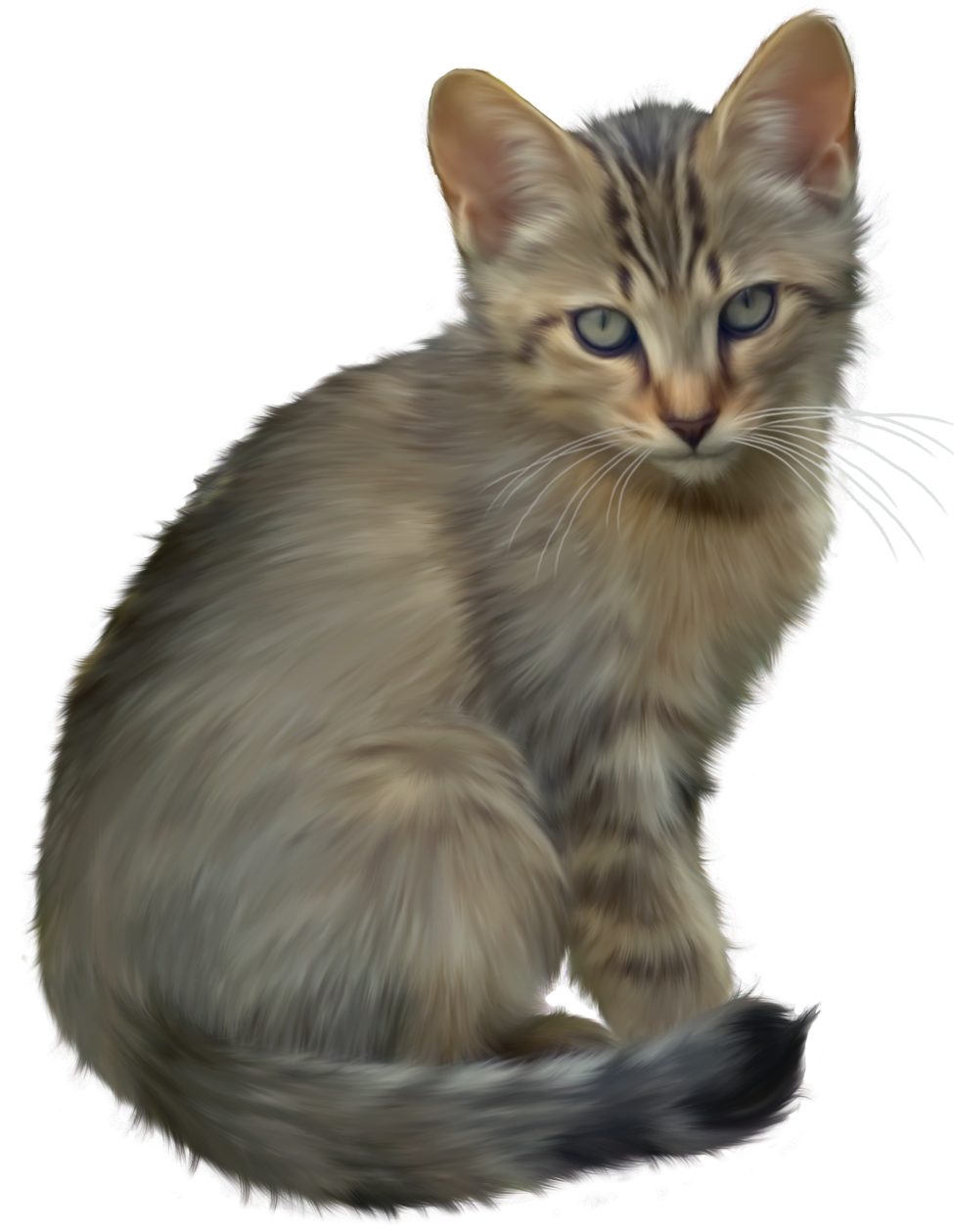 Cute Kitten Png HD Free Download