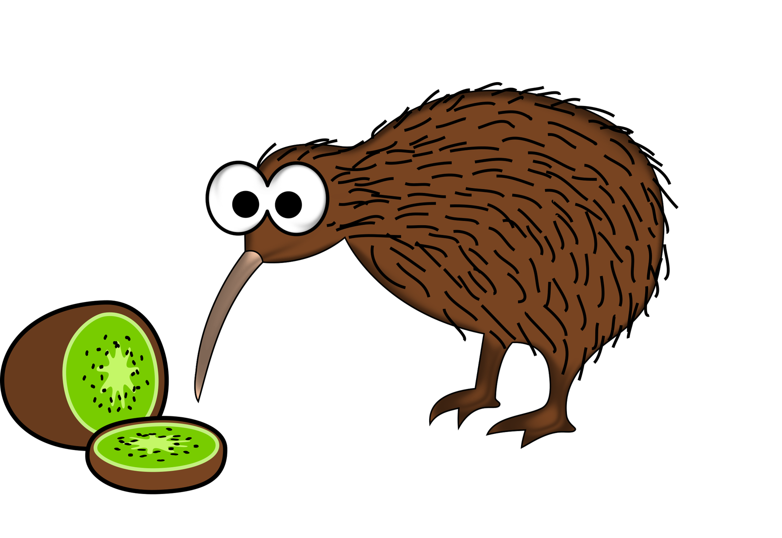 Kiwi Bird Png HD Free Download