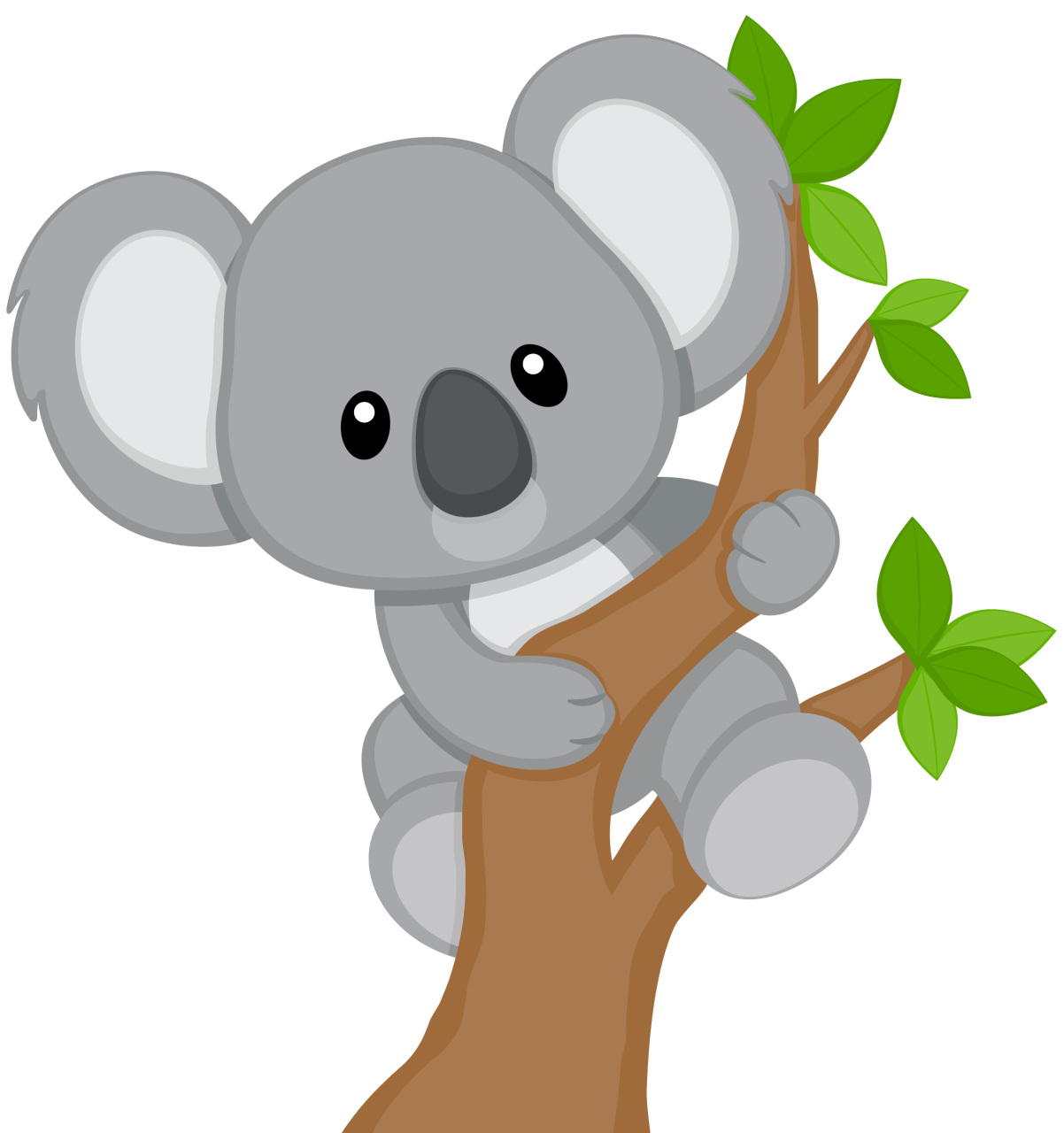 Koala Face Png HD Free Download