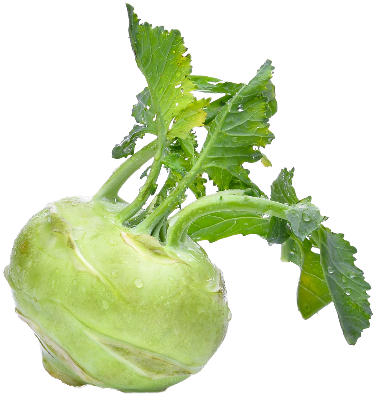 Kohlrabi Clipart Png HD Free Download