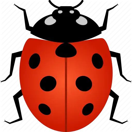 Ladybug Insect Vector Pic Clipart Png HD Free Download