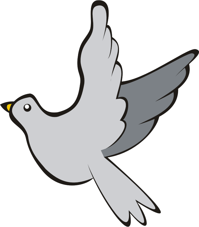 Columbidae Pigeon Png HD Free Download