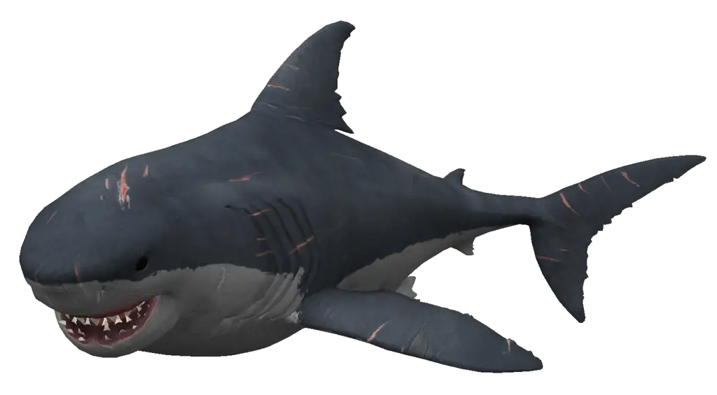 Megalodon Shark Aquatic Png HD Free Download