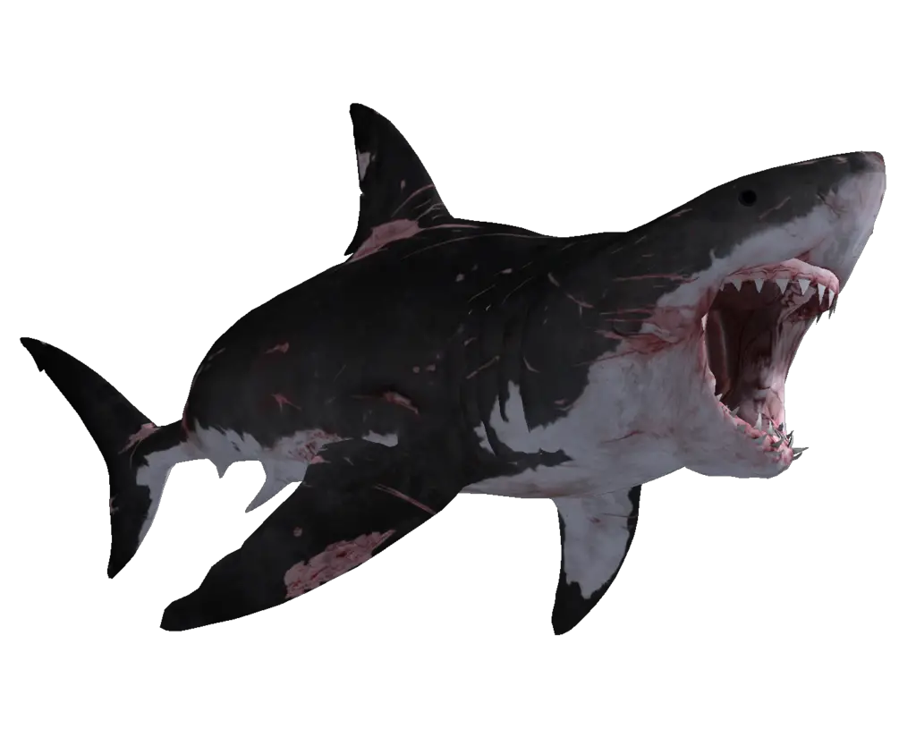 Big Shark Megalodon Png HD Free Download