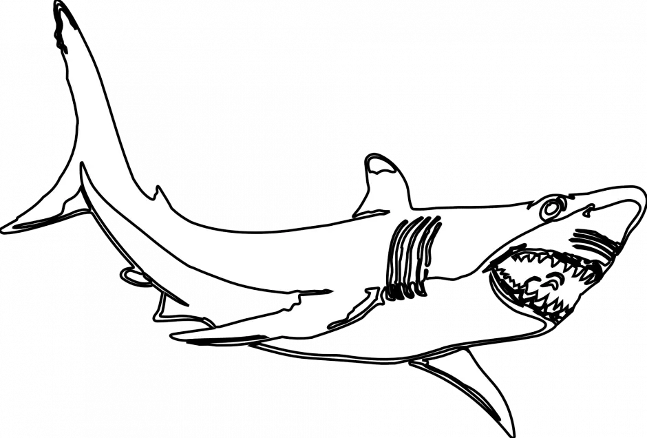 Big Shark Megalodon Png HD Free Download