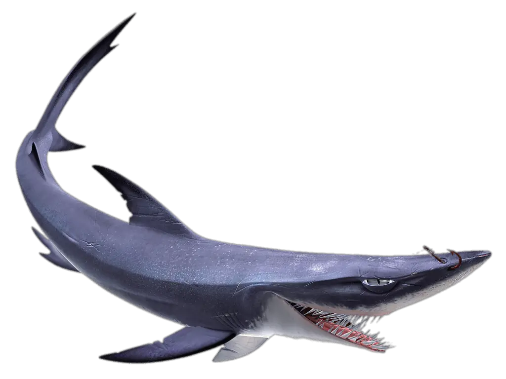 Blue Shark Nemo Pic Png HD Free Download