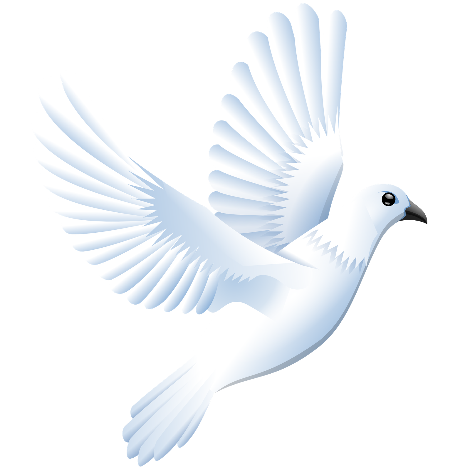 Flying Pigeon Peace Transparent Png HD Free Download