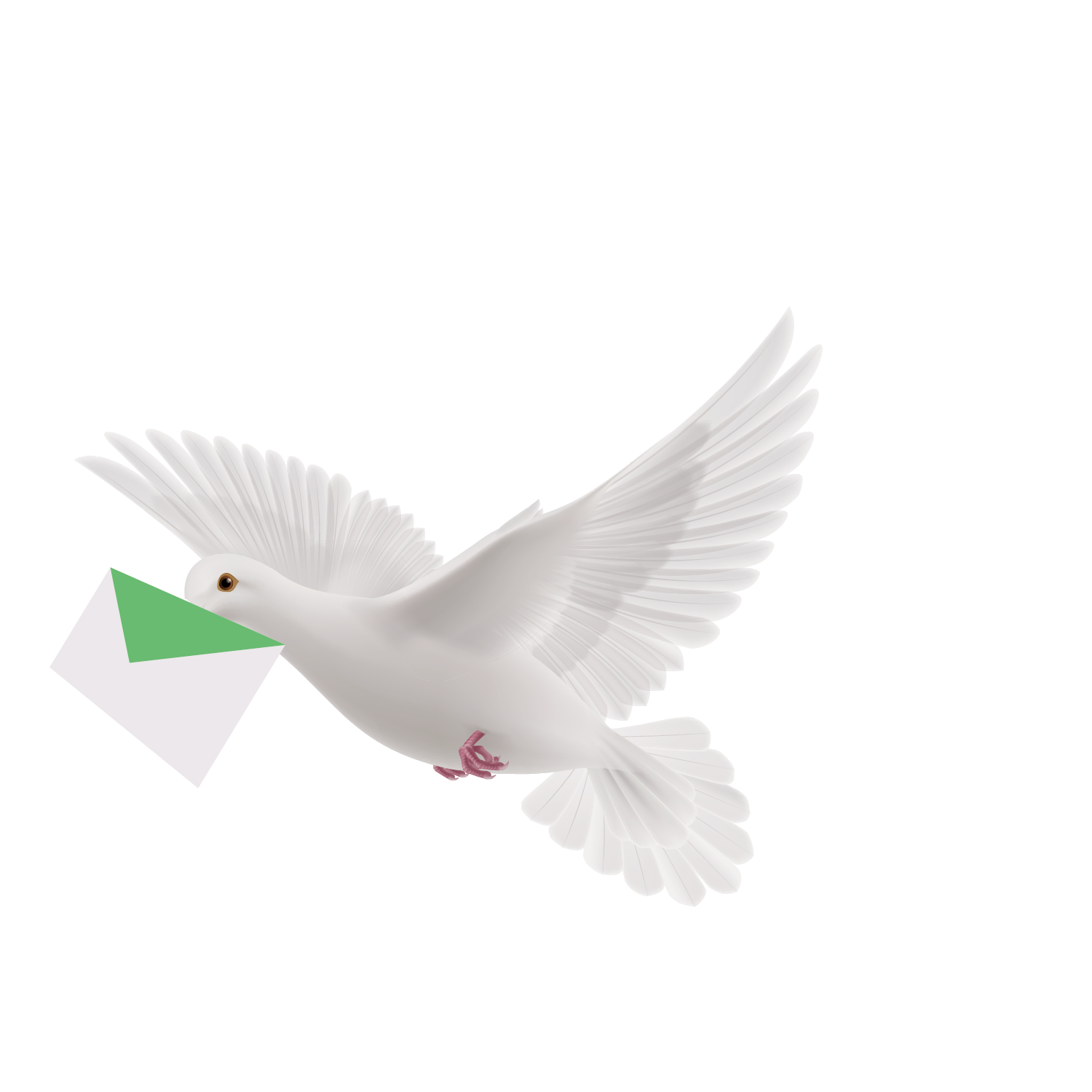 Flying Pigeon Peace Png HD Free Download