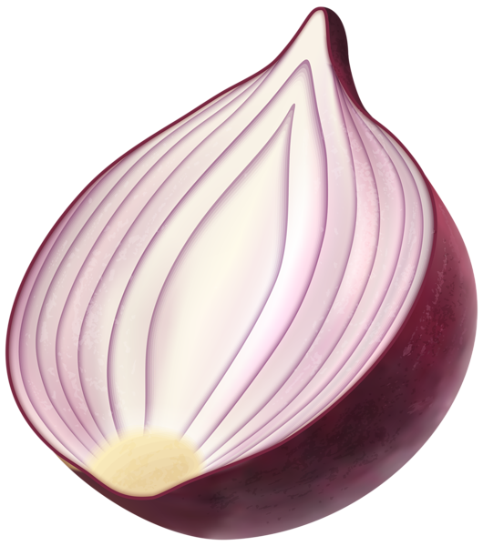 Onion Half Png HD Free Download