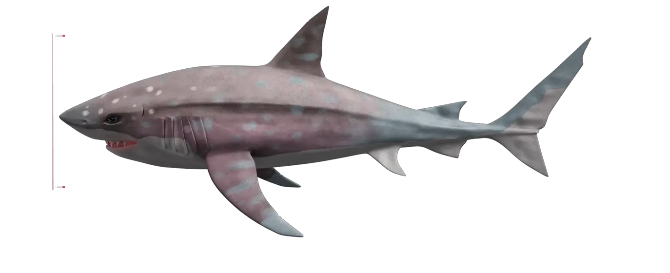 Megalodon Shark File Png HD Free Download