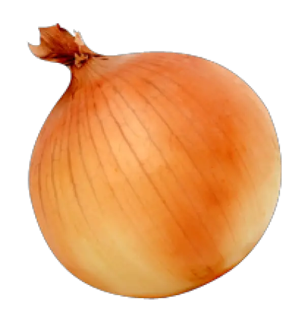 Onion Png HD Free Download