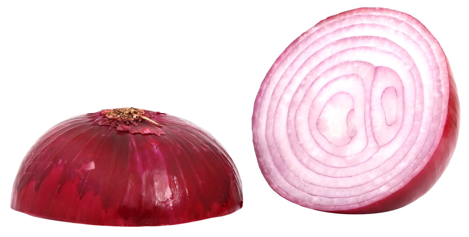 Slice Onion Png HD Free Download