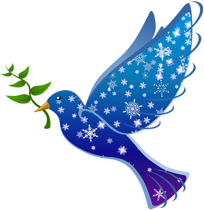 Pic Peace Pigeon Png HD Free Download