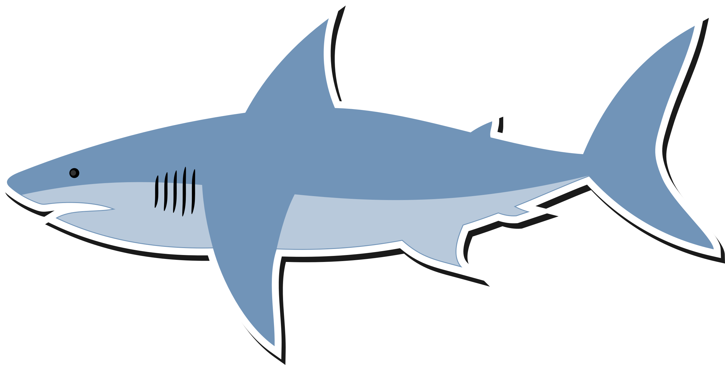 Real Shark Png HD Free Download