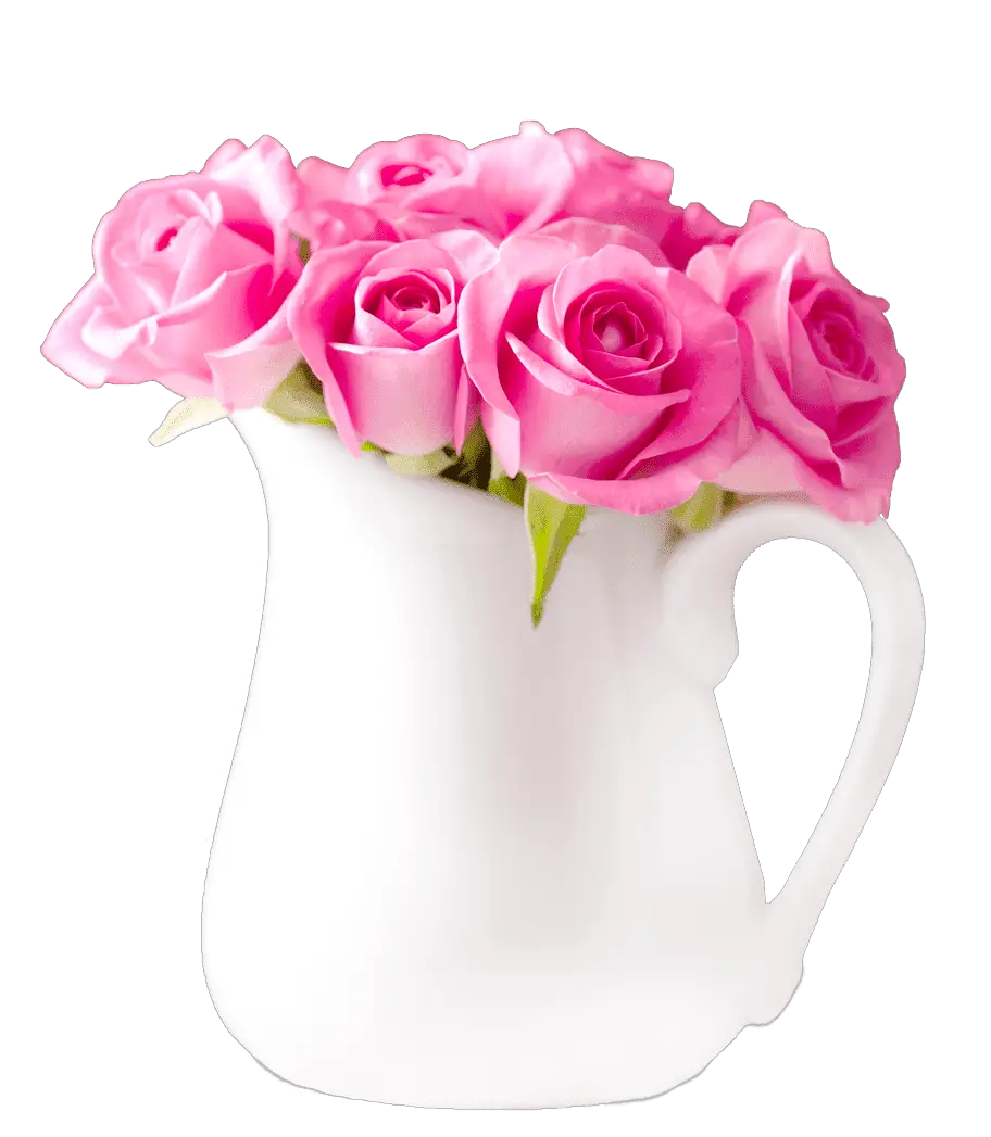 Pink Flower Blossom Rose Bunch Png HD Free Download