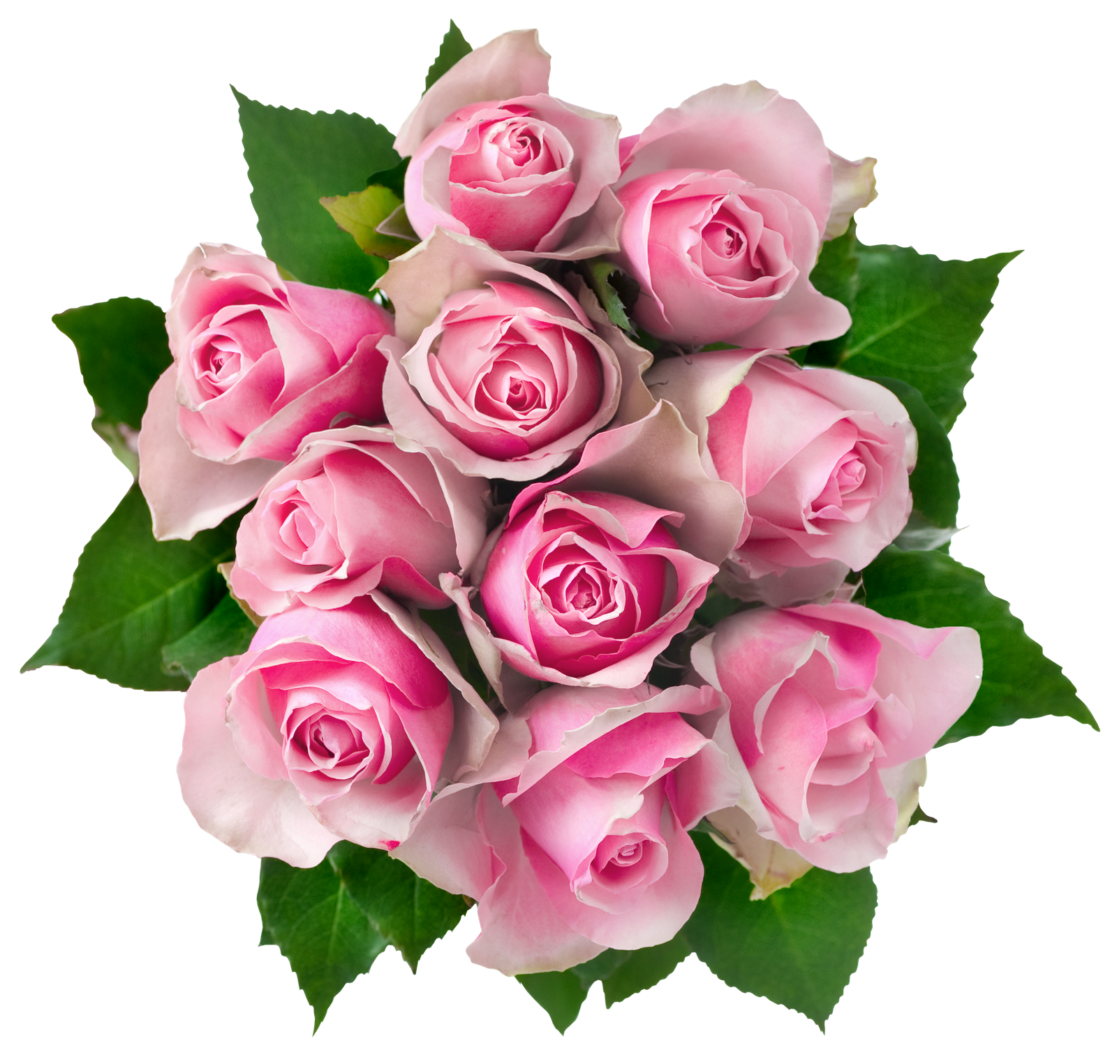 Pink Rose Flower Bunch Png HD Free Download