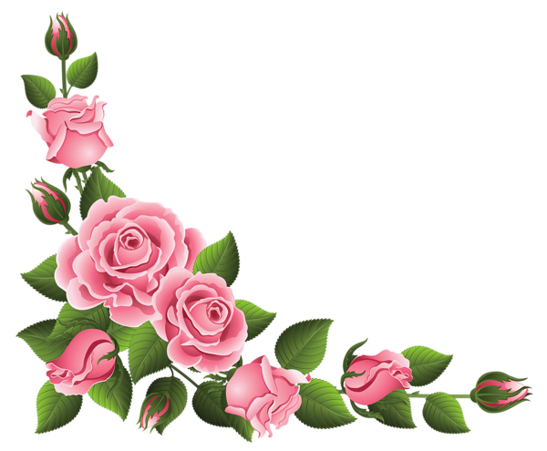 Pink Rose Flower Bunch Png HD Free Download