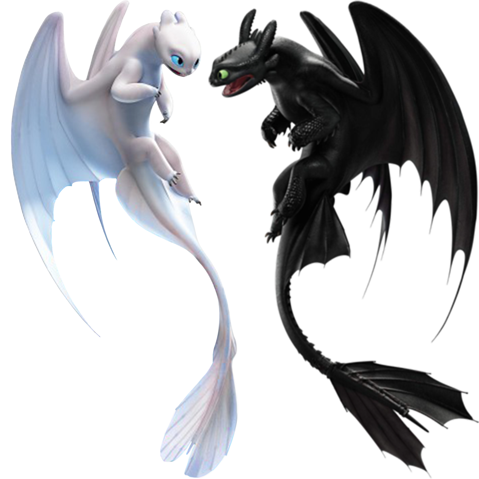 Fury Toothless Night Png HD Free Download