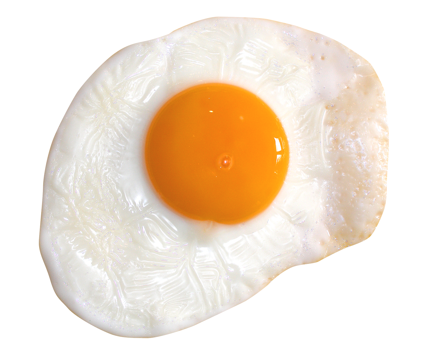 Fried Egg Png HD Free Download
