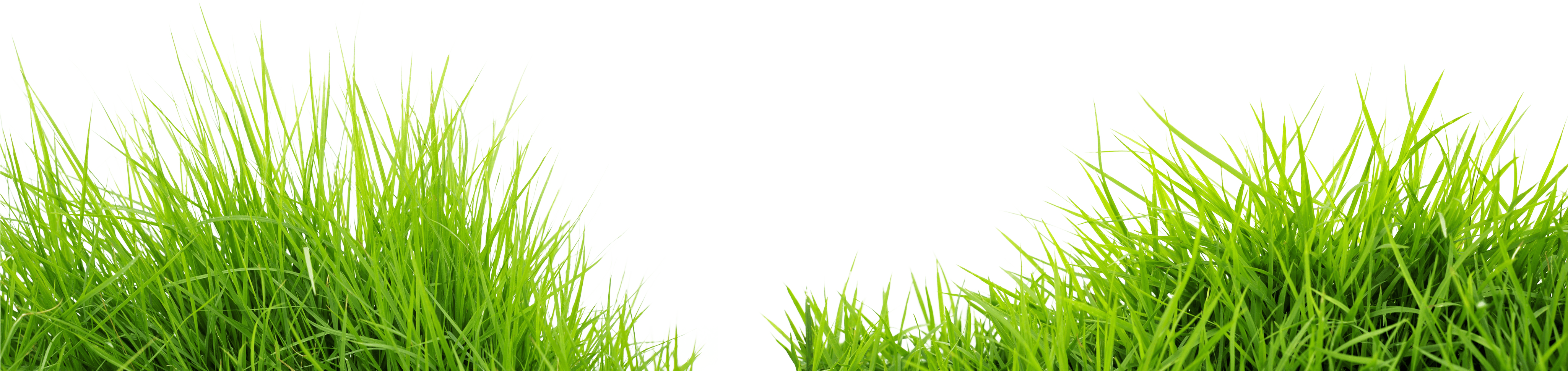 Field Meadow Png Hd Free Download