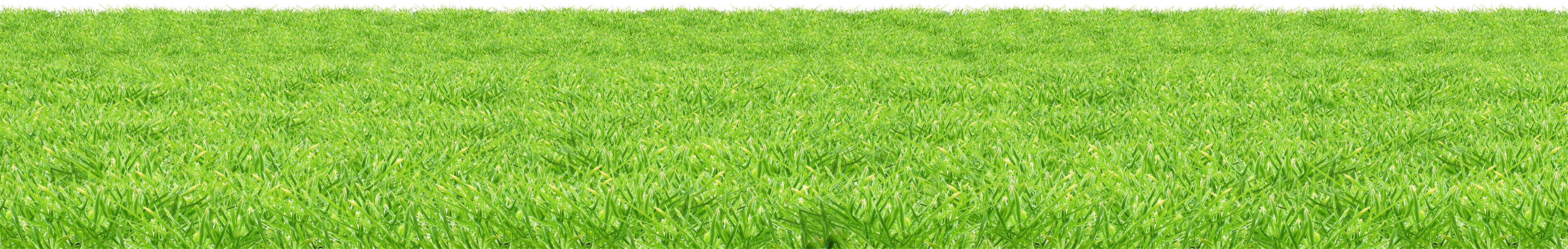 Meadow Greenscape Png Hd Free Download