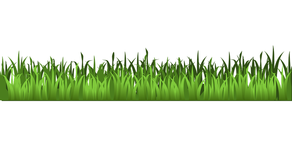 Spring Meadow Png Hd Free Download