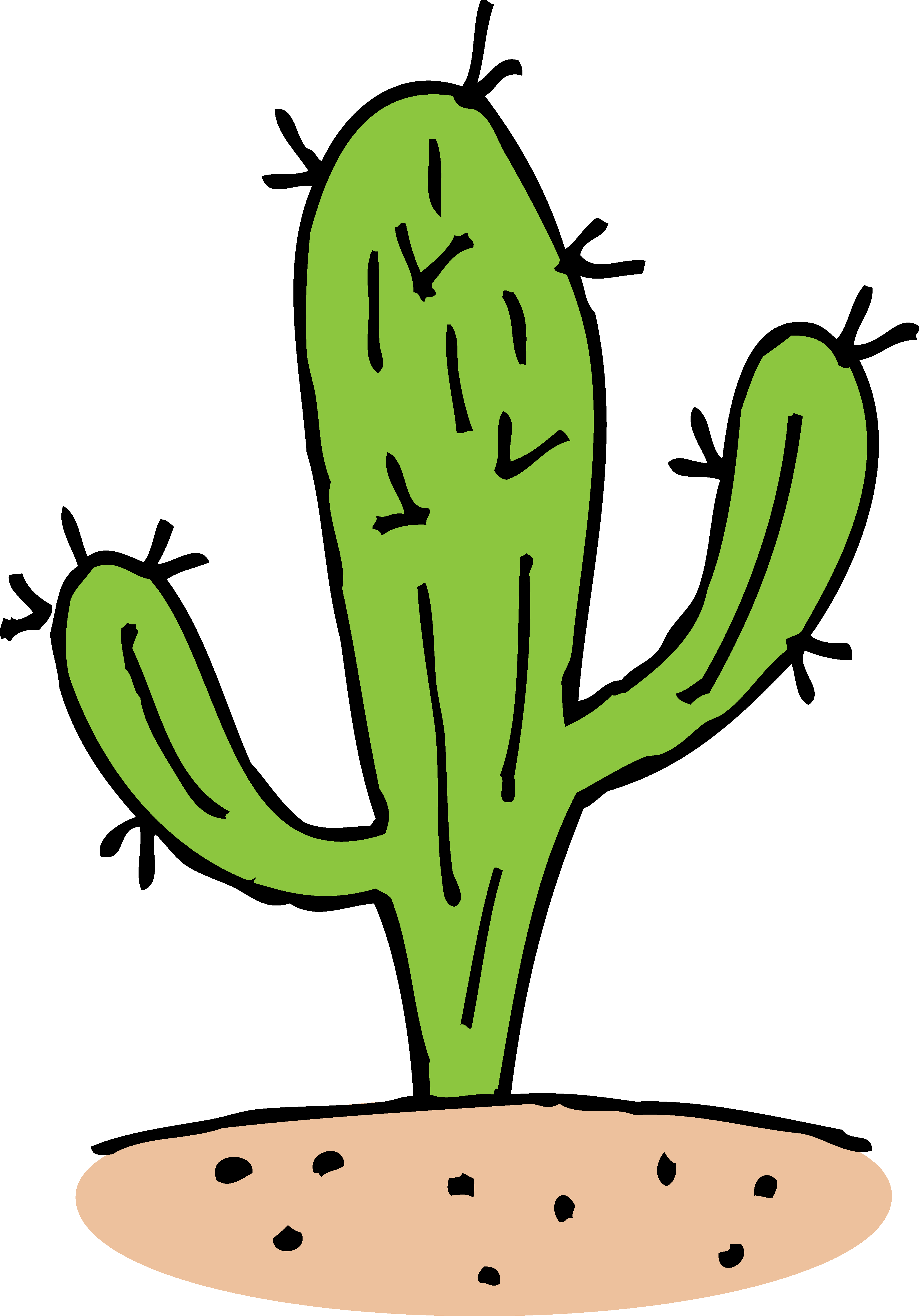 Cactus Pic Prickle File Png HD Free Download