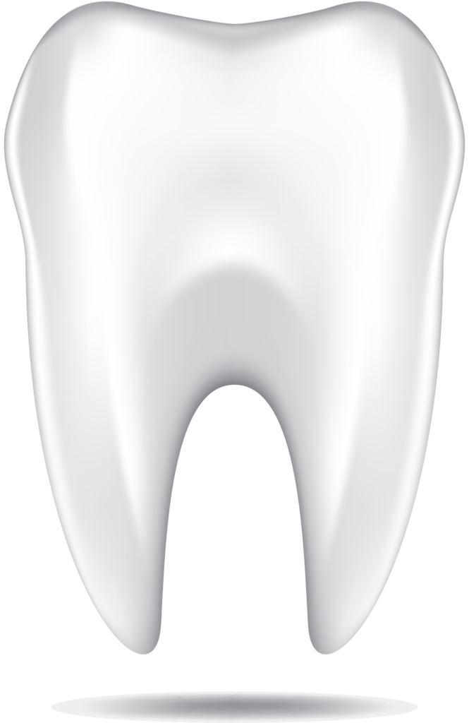 Clean Tooth Png HD Free Download