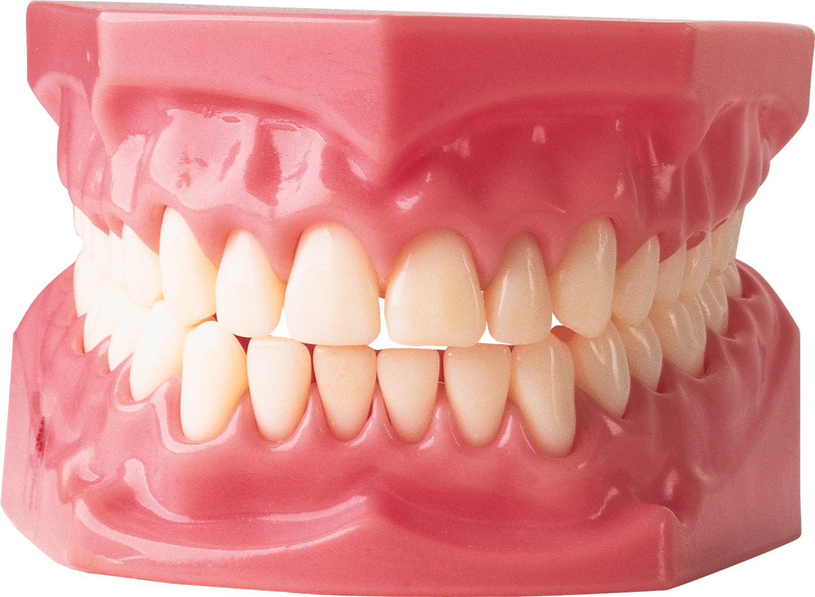 Picture Tooth Png HD Free Download