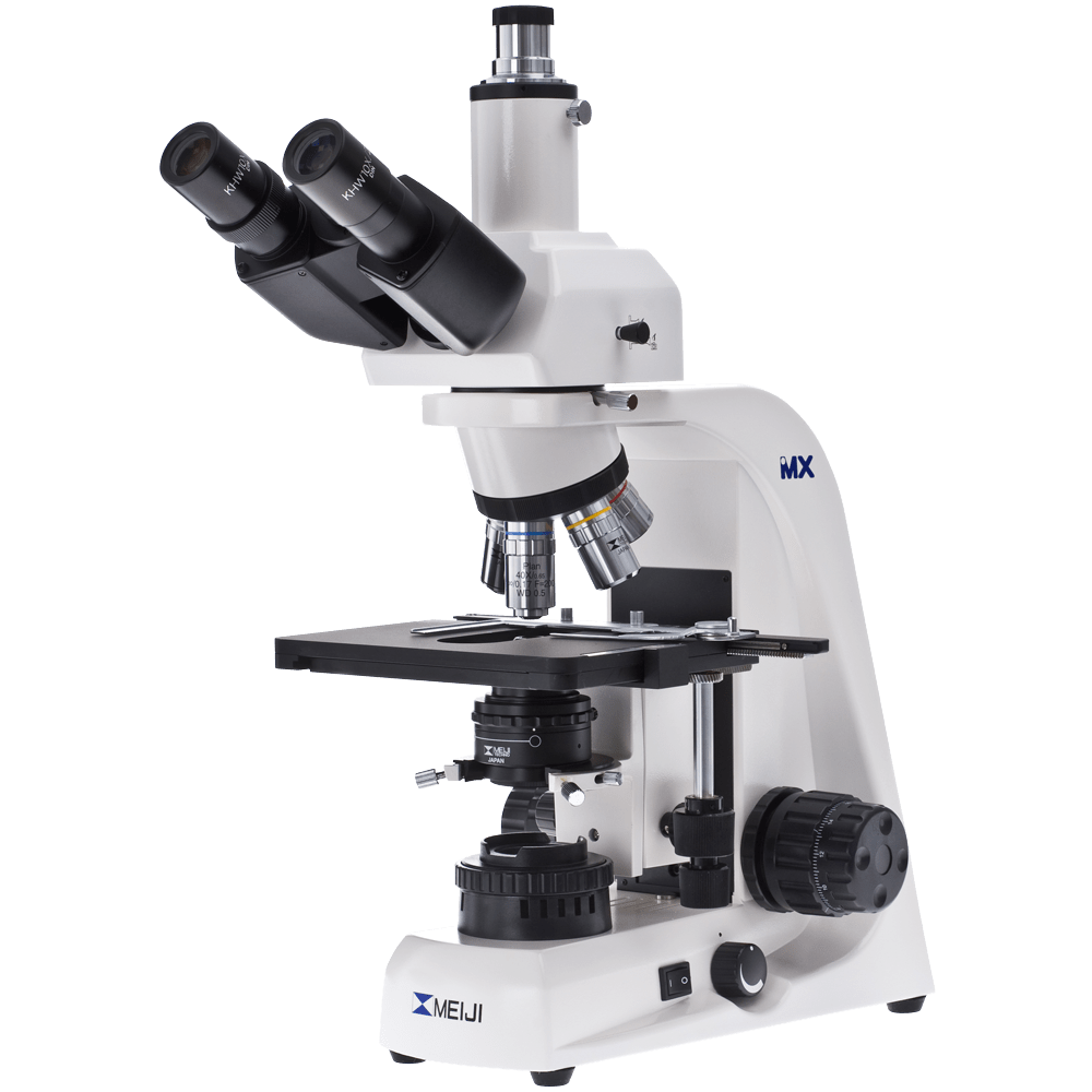 White Microscope Clipart Png HD Free Download