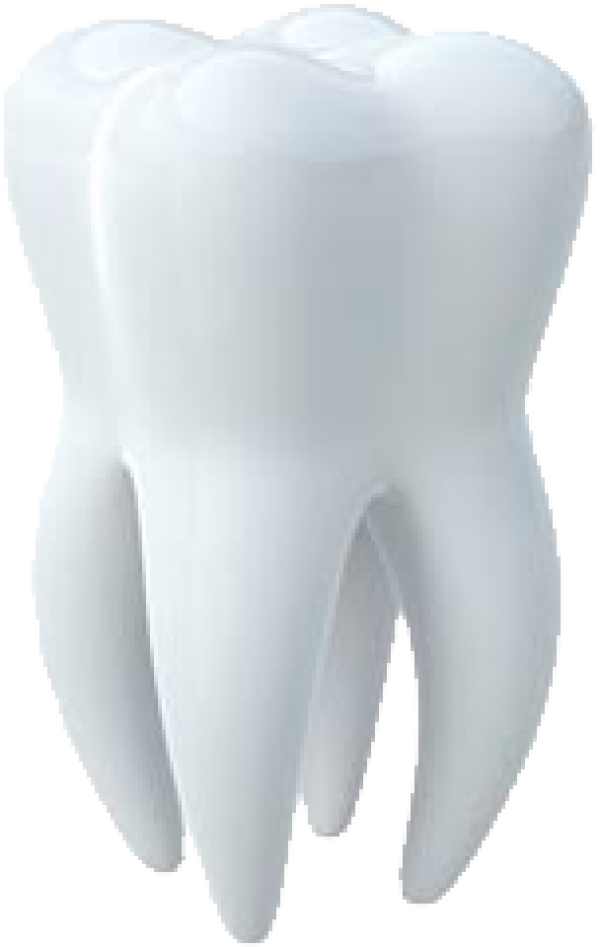 Picture White Tooth Png HD Free Download