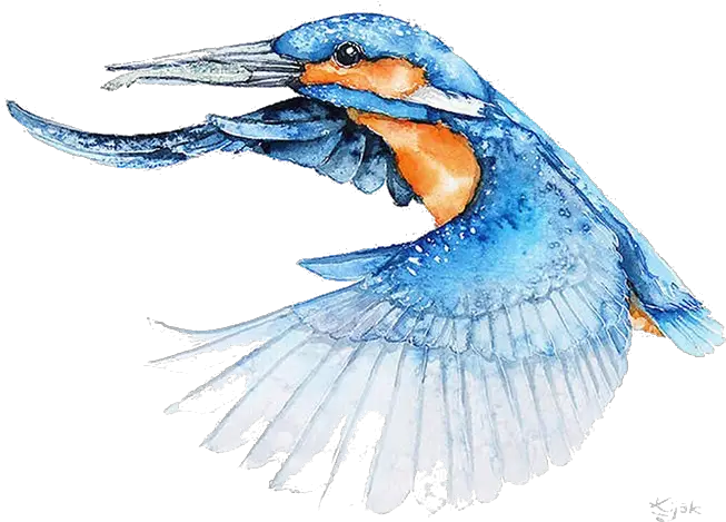 Watercolor Art Clipart Png HD Free Download