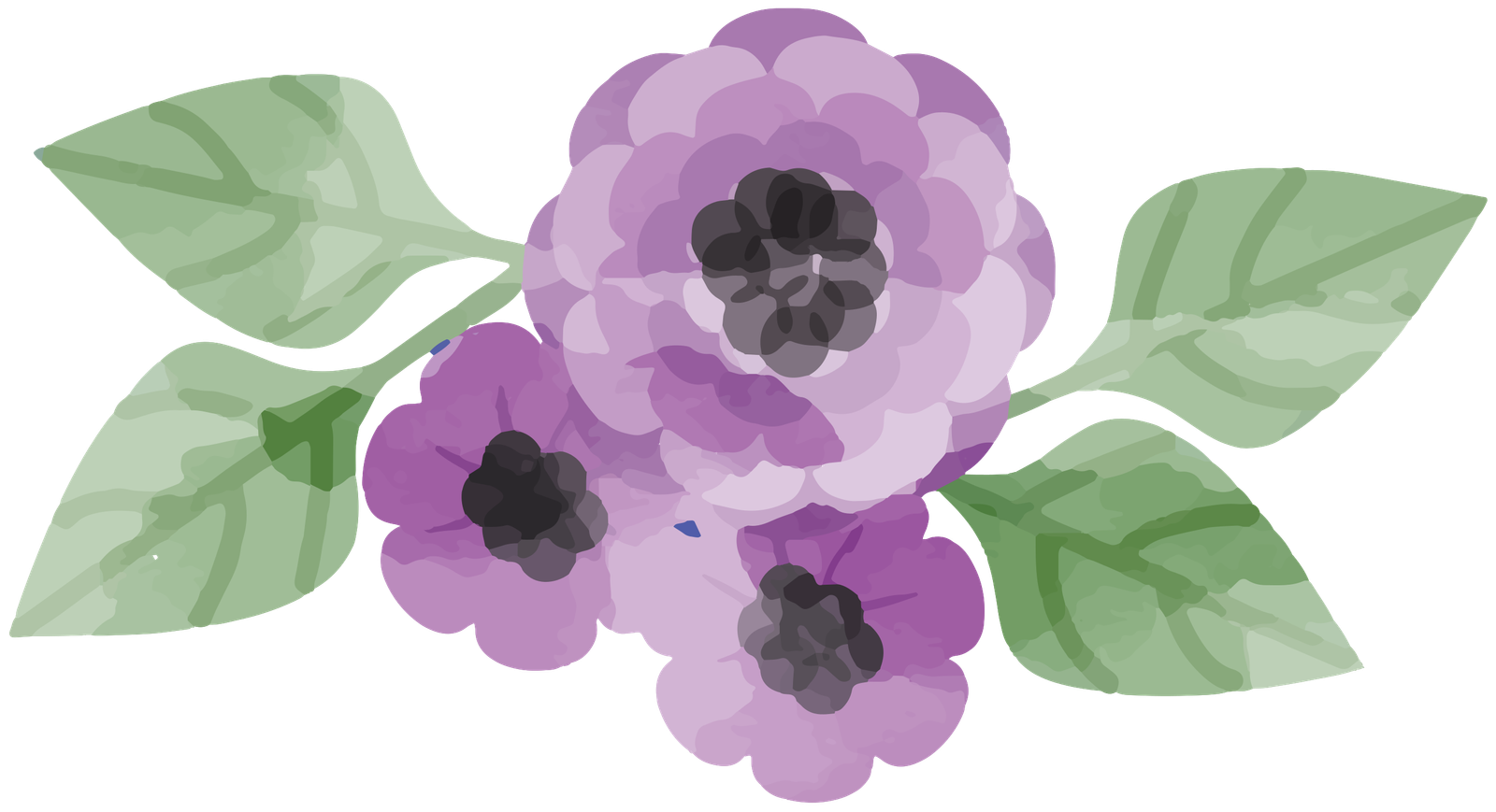 Watercolor Flower Png HD Free Download