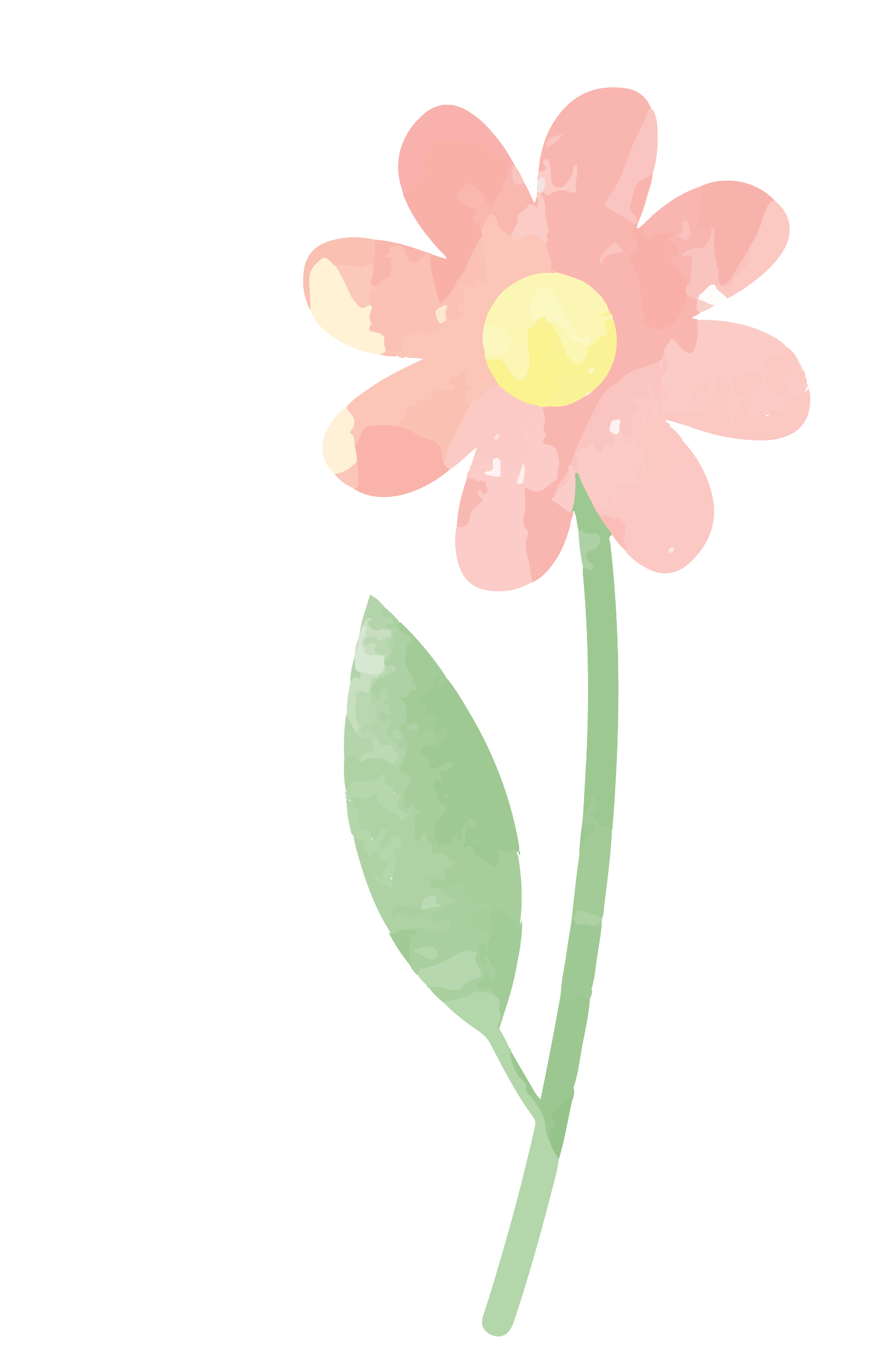 Watercolor Flower Png HD Free Download