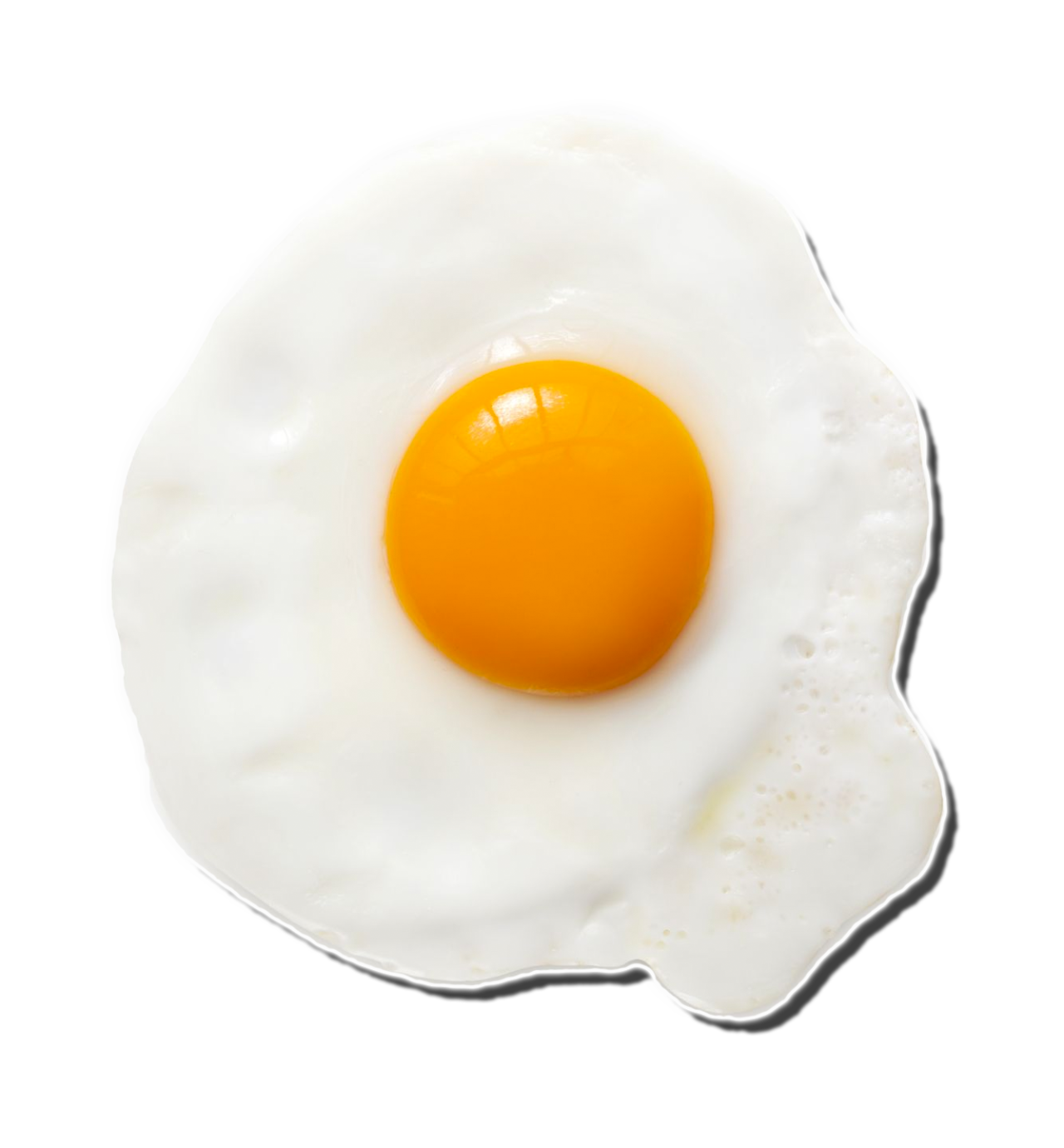 Egg Fried Crispy Png HD Free Download