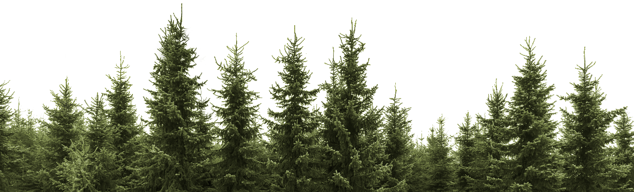 Tree Forest Png Hd Free Download