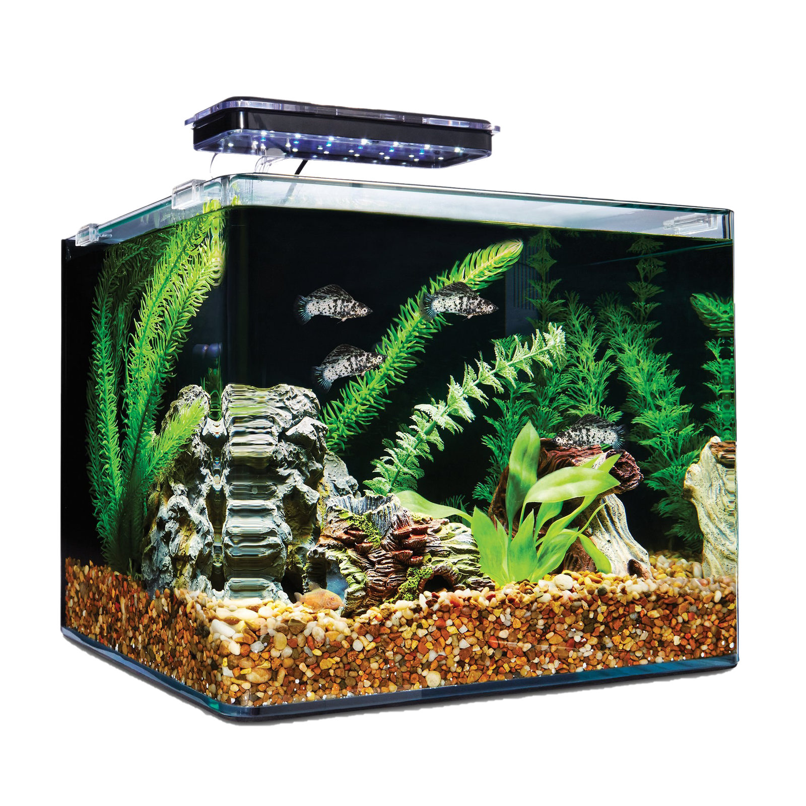 Glass Fish Tank Aquarium Png HD Free Download